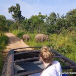 WhatsApp Image 2023-02-28 at 09.50.24_c4719391