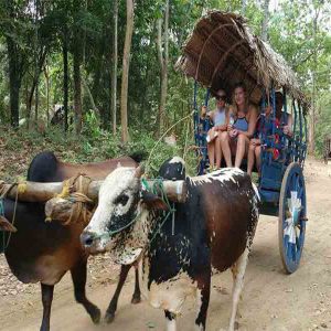 Sigiriya Village Tour