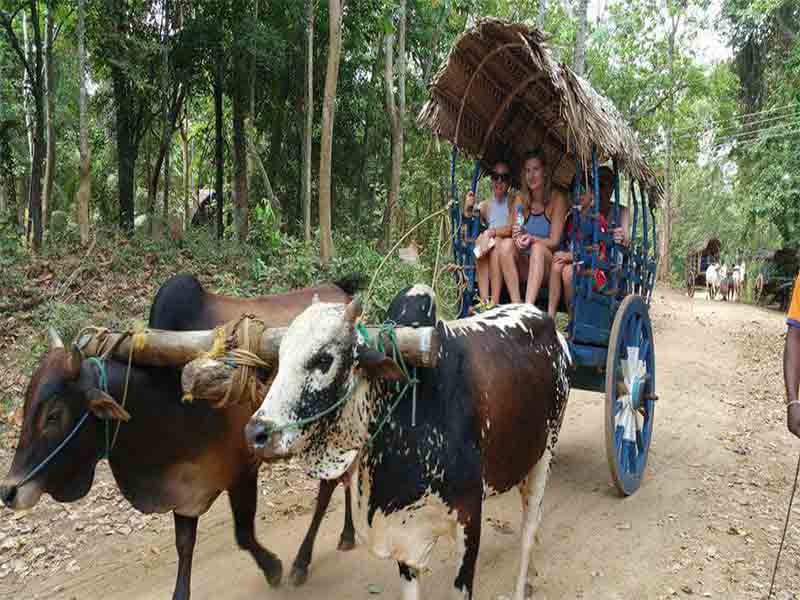 Sigiriya Village Tour