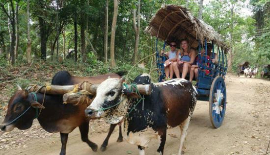 Sigiriya Village Tour - Image 2